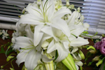 Copyright: Partridge and Pear. Wedding flowers in Christchurch, New Zealand Copyright: Partridge and Pear. Wedding flowers in Christchurch, New Zealand