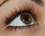 Eyelash extensions Eyelash extensions