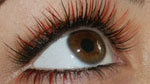 Eyelash Extensions